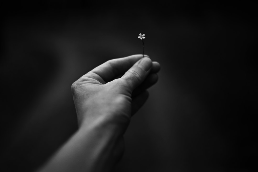 The Small Details That